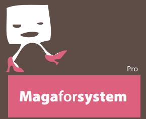 LogoMagaforSystem